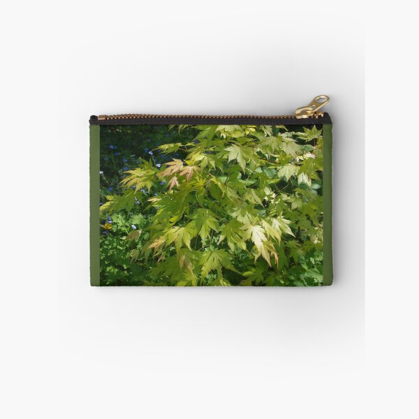 Item preview, Acer palmatum, orange dream designed and sold by lezvee.