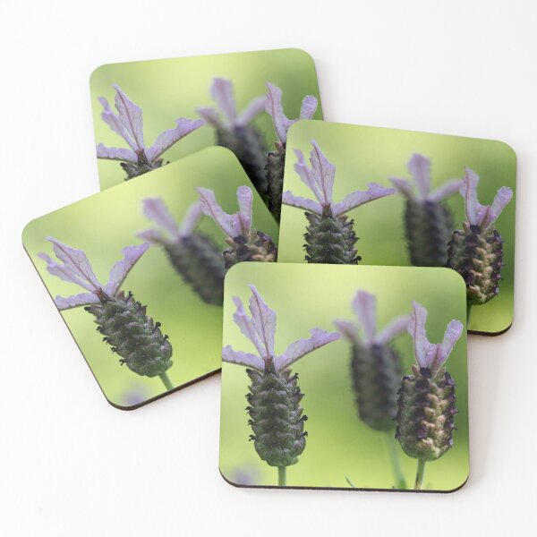 Item preview, The Lavender Girls designed and sold by cuprum.