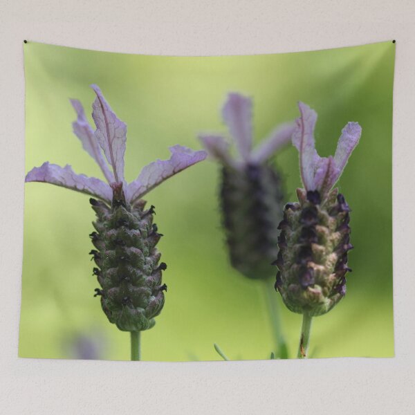 Item preview, The Lavender Girls designed and sold by cuprum.