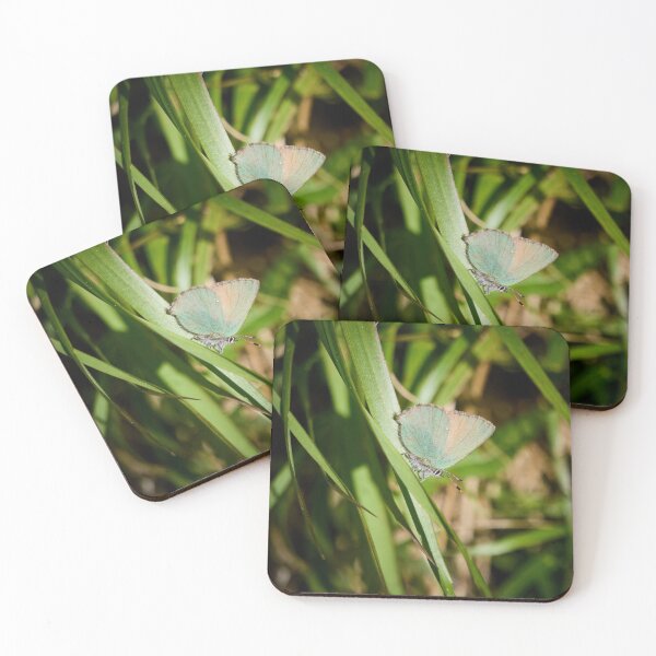 Item preview, Green hairstreak on green grass designed and sold by Jouko Lehto Photography.