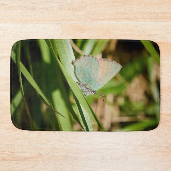 Item preview, Green hairstreak on green grass designed and sold by Jouko Lehto Photography.