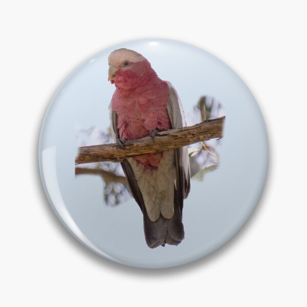 Item preview, Galah designed and sold by indiafrankk.