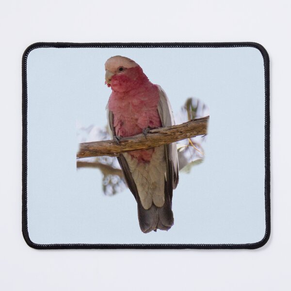 Item preview, Galah designed and sold by indiafrankk.