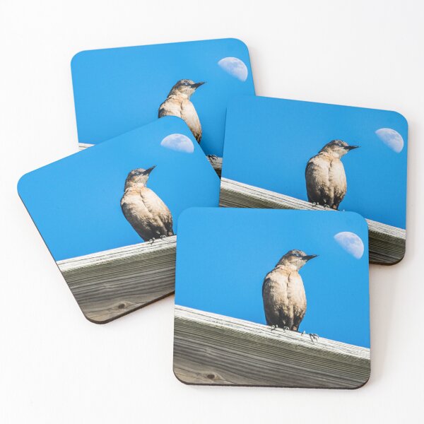 Item preview, Female, Boat Tailed Grackles designed and sold by KensLensDesigns.