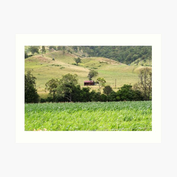 Country Meadows Art Print