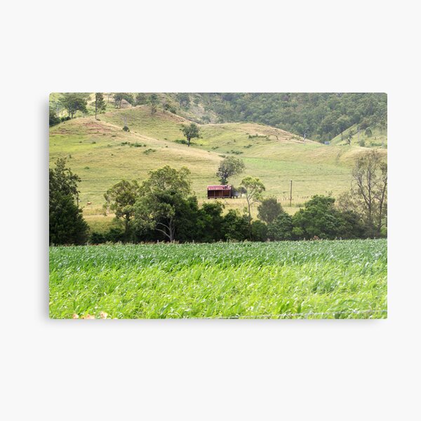 Country Meadows Metal Print
