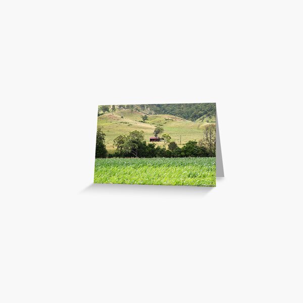 Country Meadows Greeting Card