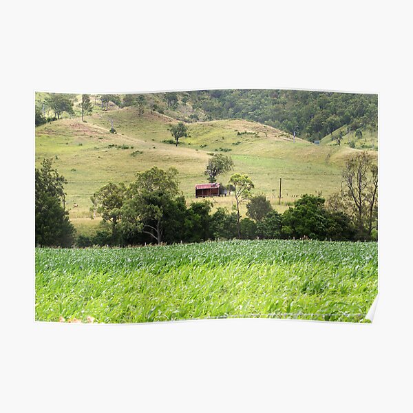 Country Meadows Poster