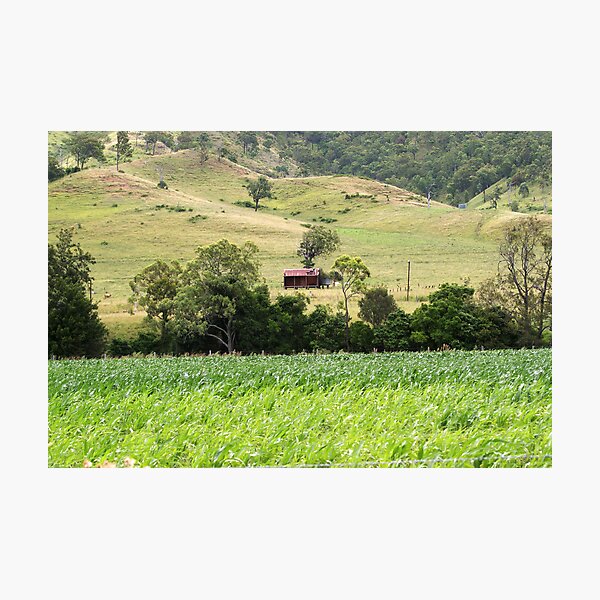 Country Meadows Photographic Print