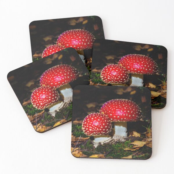 Item preview, Magical Toadstools designed and sold by Leeo.