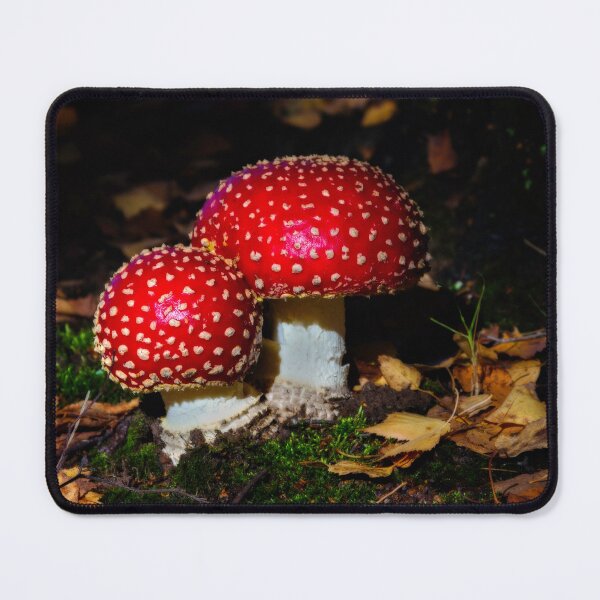 Item preview, Magical Toadstools designed and sold by Leeo.