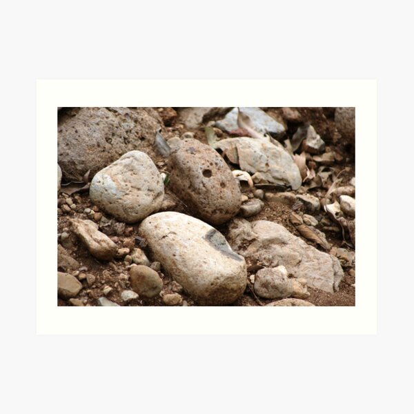 Rocks Art Print