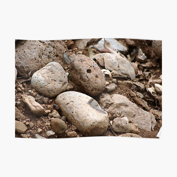 Rocks Poster