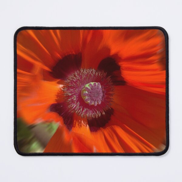 Item preview, Flor de Amapola designed and sold by hapfoto.
