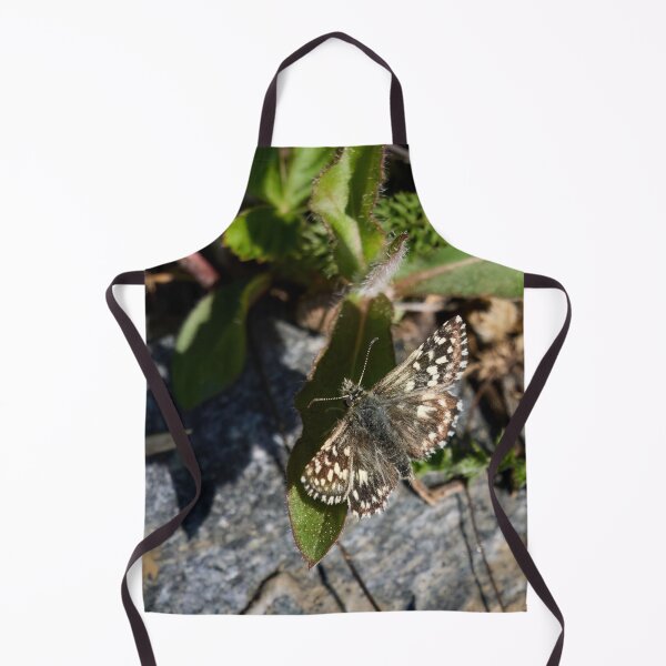 Item preview, Grizzled skipper in the sun designed and sold by Jouko Lehto Photography.