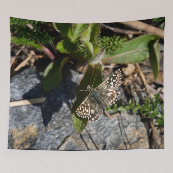Item preview, Grizzled skipper in the sun designed and sold by Jouko Lehto Photography.