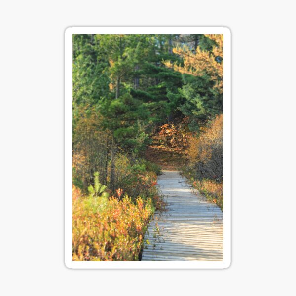 Item preview, Fallison Lake Nature Trail, Boulder Junction WI designed and sold by Kriestienn De Bruyne.