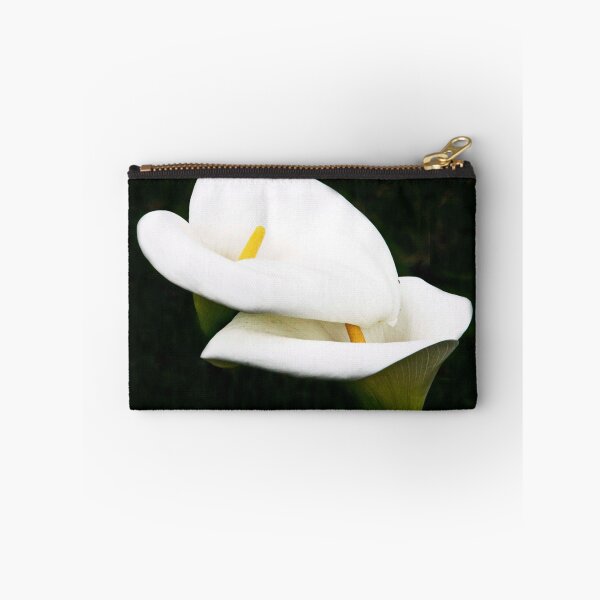 Item preview, African Lily designed and sold by phil decocco.