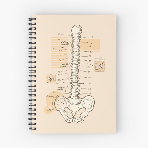 Item preview, Spine Anatomy designed and sold by AwesomeProject.