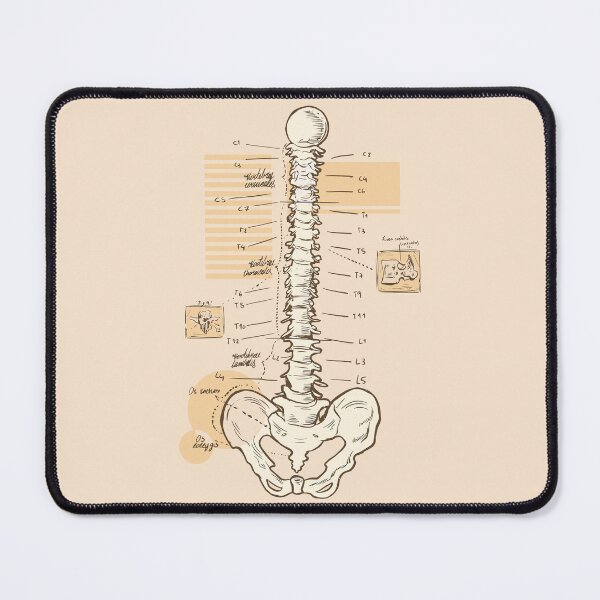 Item preview, Spine Anatomy designed and sold by AwesomeProject.