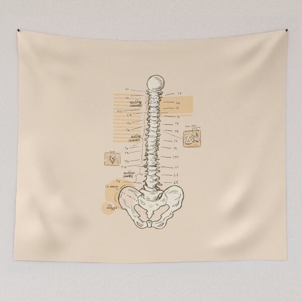 Item preview, Spine Anatomy designed and sold by AwesomeProject.