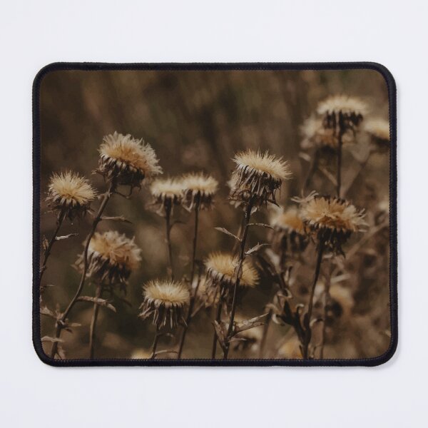 Item preview, dry flowers designed and sold by mojazona.