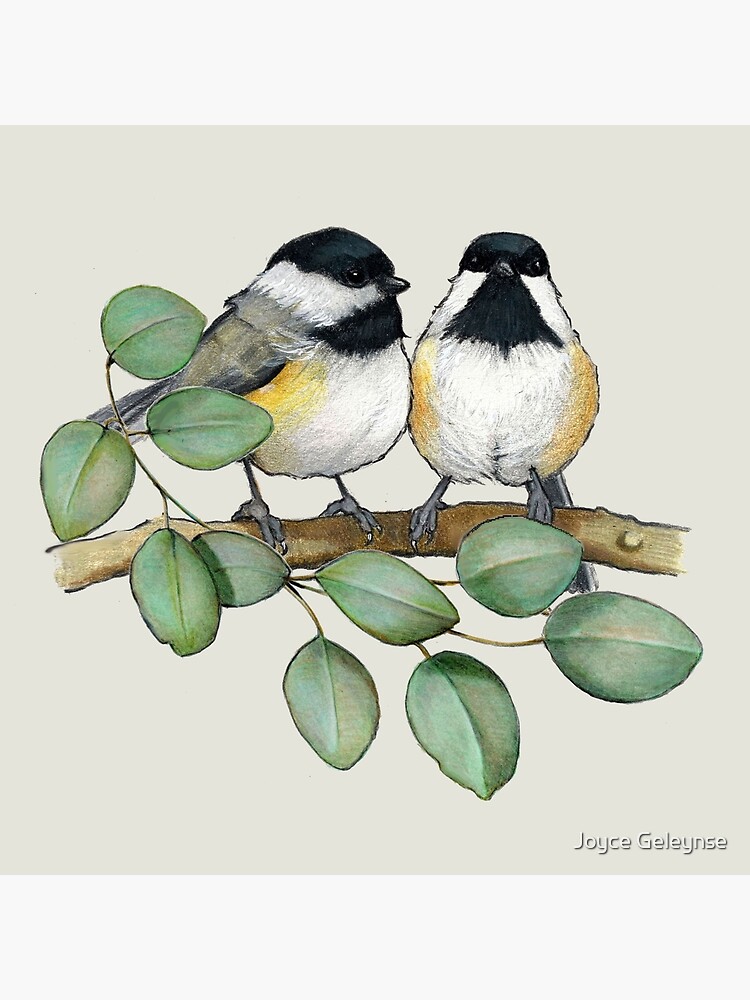 Chickadee Couple with Leaves, Birds, Wildlife Art, illustration, Cute Little  Birds Art Board Print for Sale by Joyce Geleynse