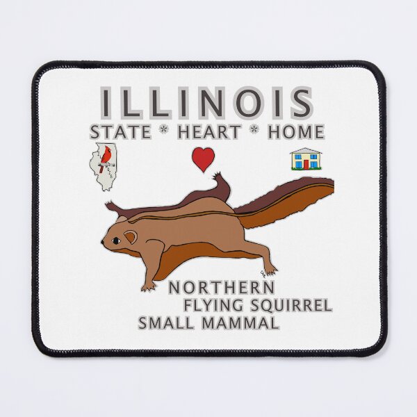Item preview, Illinois - Northern Flying Squirrel - State, Heart, Home - small mammal designed and sold by Colleen Macomber.