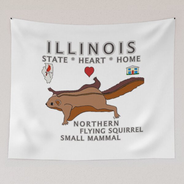 Item preview, Illinois - Northern Flying Squirrel - State, Heart, Home - small mammal designed and sold by Colleen Macomber.