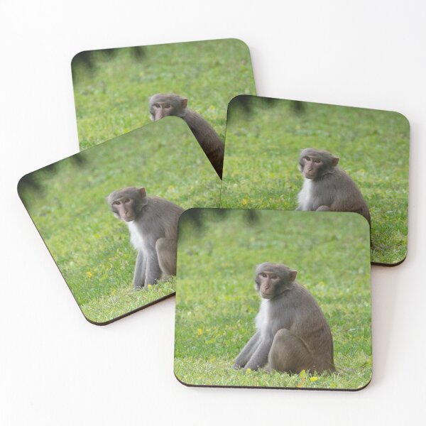 Item preview, Rhesus Monkey designed and sold by CanidaeVulpes.