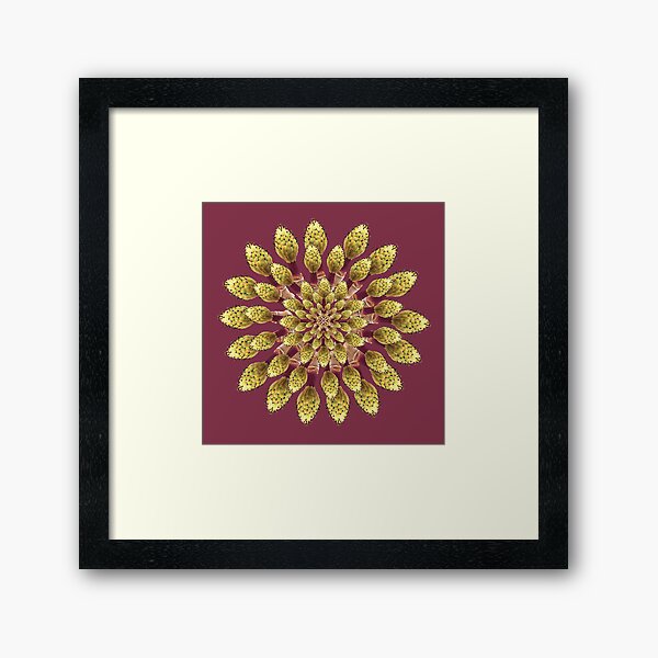 Magnolia Blooms and Buds Framed Art Print