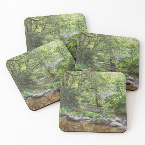 Item preview, Steps Bridge, Dunsford designed and sold by JoSowden.
