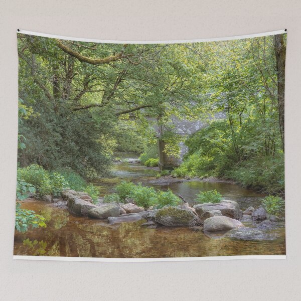 Item preview, Steps Bridge, Dunsford designed and sold by JoSowden.