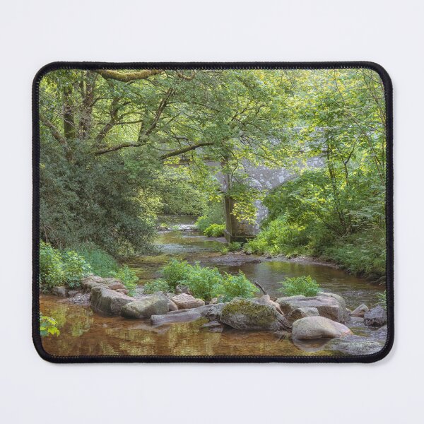 Item preview, Steps Bridge, Dunsford designed and sold by JoSowden.