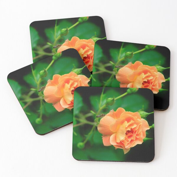 Item preview, Orange rose in summer garden designed and sold by olena2552.