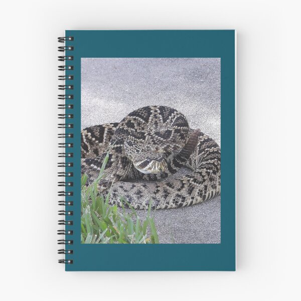 Item preview, Eastern Diamondback Rattlesnake 009 designed and sold by ivy-aiko.