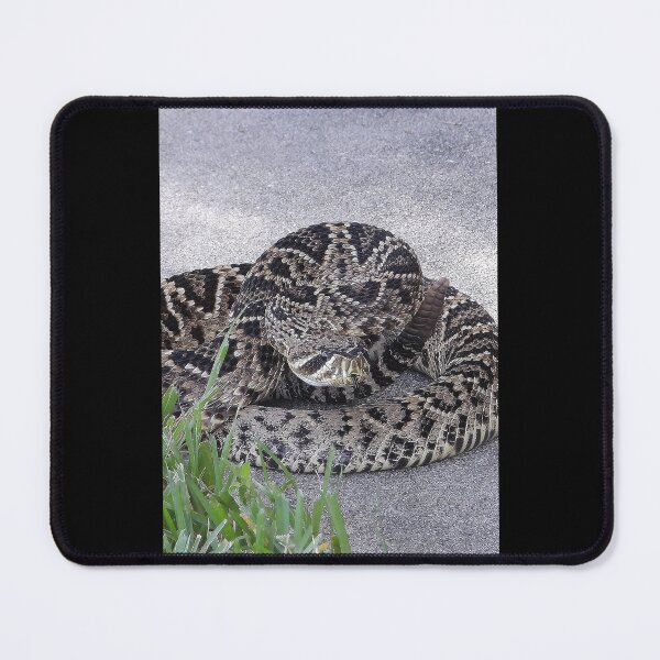 Item preview, Eastern Diamondback Rattlesnake 009 designed and sold by ivy-aiko.