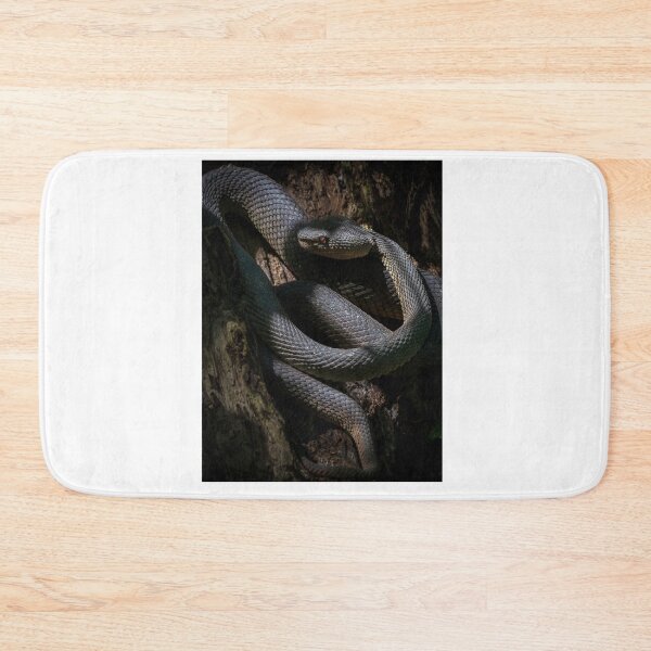 Item preview, Mangrove Pit Viper Graphic designed and sold by ivy-aiko.