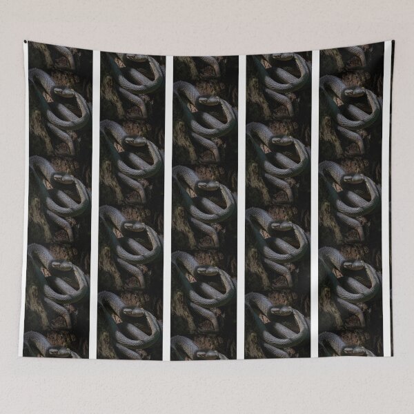 Item preview, Mangrove Pit Viper Graphic designed and sold by ivy-aiko.