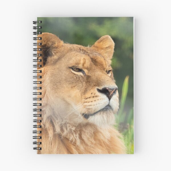 Item preview, Watchful lion designed and sold by HazelWright.