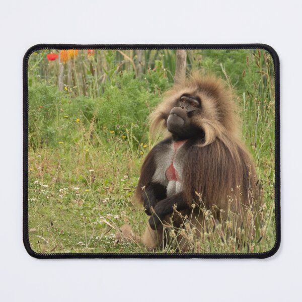 Item preview, Gelada baboon designed and sold by HazelWright.
