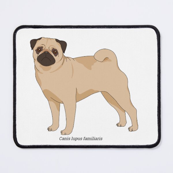 Item preview, Canis - dog (pug) designed and sold by Wittylot.