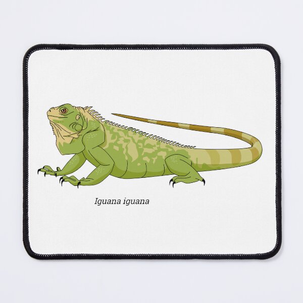 Item preview, Iguana - Lizard designed and sold by Wittylot.