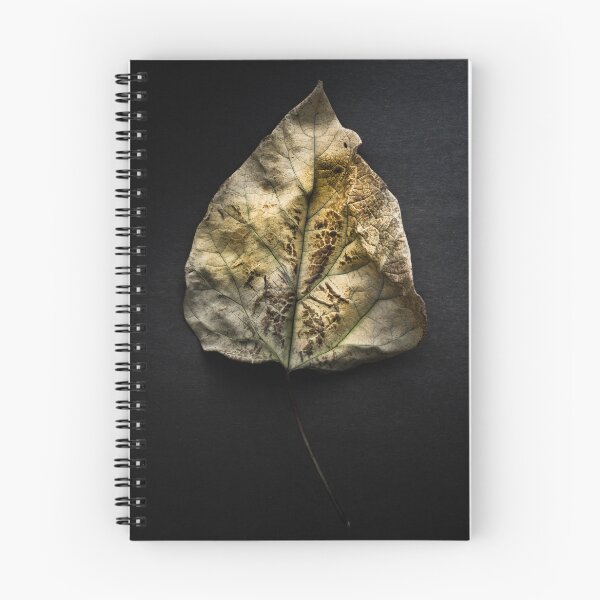 Item preview, Leaves No 1 Color Version designed and sold by The Learning Curve Photography.