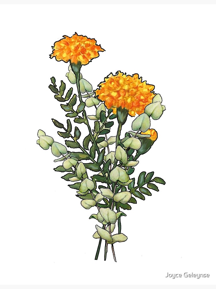 Floral Stems: Botanical Illustration