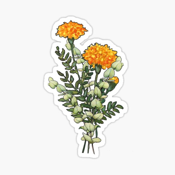 Marigold Flowers Sticker for Sale by lents