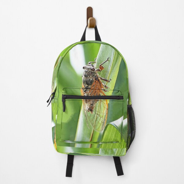 Item preview, vr /3261 / finition 2023 - The South in my garden "a cicada!" - Le Sud dans mon jardin " une Cigale ! " photo -  Okaio-Umin Créations  Olavia-Olao designed and sold by o.okaïo.