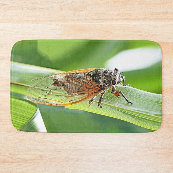 Item preview, vr /3261 / finition 2023 - The South in my garden "a cicada!" - Le Sud dans mon jardin " une Cigale ! " photo -  Okaio-Umin Créations  Olavia-Olao designed and sold by o.okaïo.