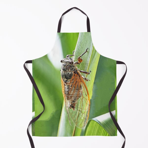 Item preview, vr /3261 / finition 2023 - The South in my garden "a cicada!" - Le Sud dans mon jardin " une Cigale ! " photo - Okaio-Umin Créations Olavia-Olao designed and sold by o.okaïo.