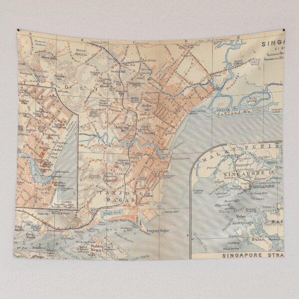 Item preview, Vintage Map of Singapore (1914) designed and sold by BravuraMedia.